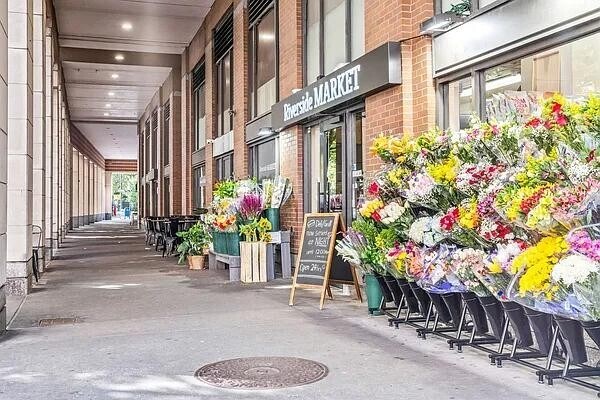 Building Photo - 380 Rector Pl