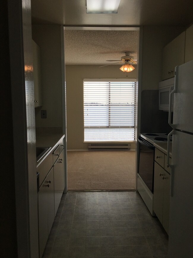 Building Photo - Large 1 bedroom 1 bath with an Amazing Bay...