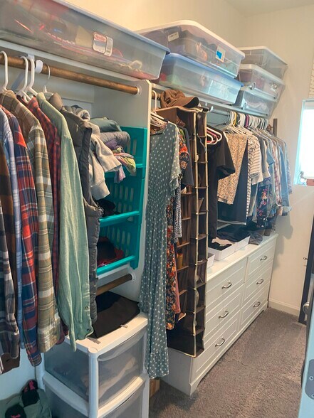 Primary Bedroom Walk-In Closet - 168 Mayflower Park Pl