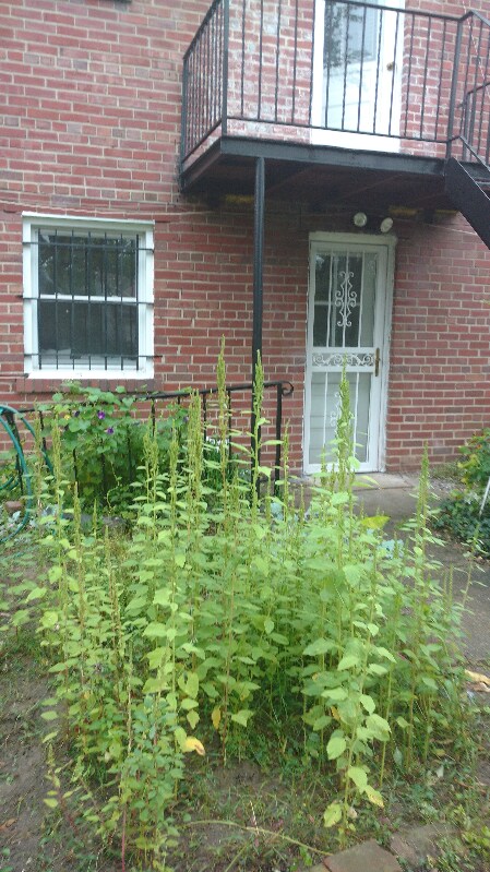 Building Photo - 6416 2nd Pl NW