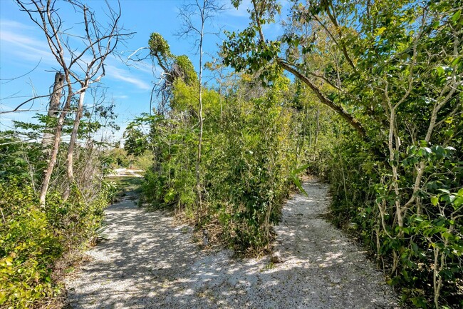 Building Photo - ALL THE CHARM! - Siesta Key 1+ acre on the Bay - 3 bed/ 2 bath pool home