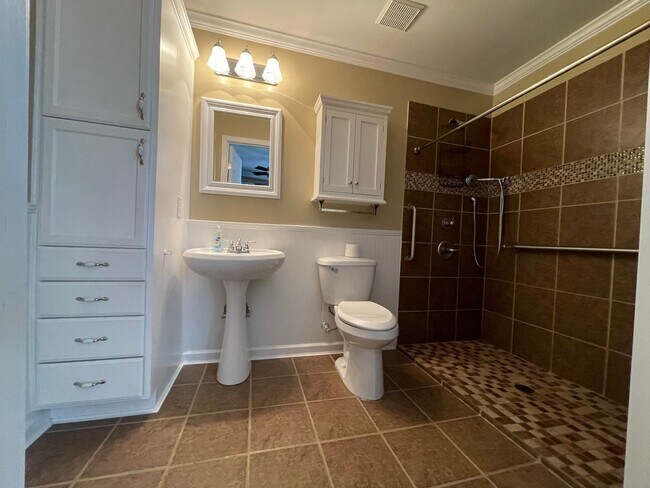 Building Photo - 2 Bedroom/2 Bath Home in Albemarle