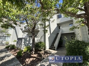 Building Photo - Newly Remodeled 2 Bed 1 Bath Unit Right Near Cabrillo College