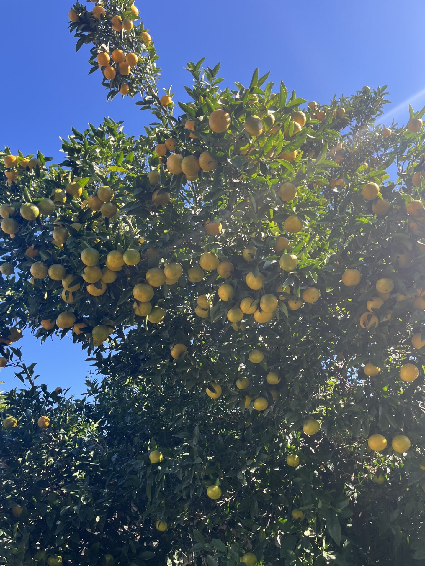 Building Photo - 1320 3 Ranch Rd