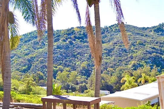 Building Photo - 976 Deer Springs Rd