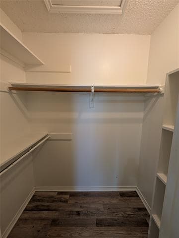 Building Photo - 7400 Rutgers Cir