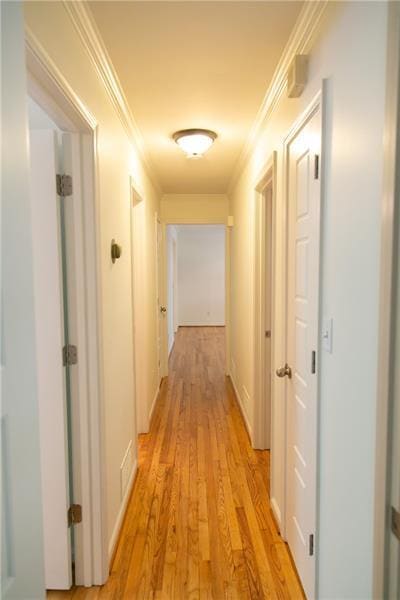 Building Photo - 1547 Delia Dr