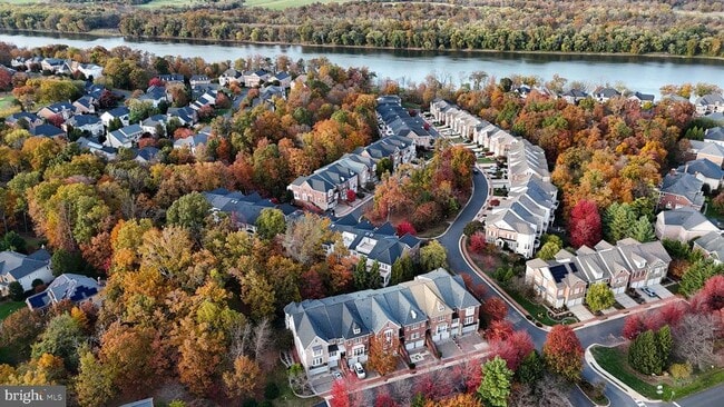 Primary Photo - 43476 Castle Harbour Terrace