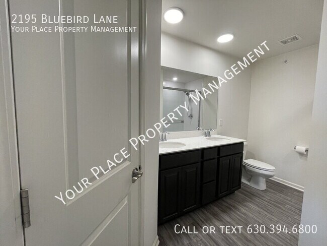 Building Photo - 2195 Bluebird Ln