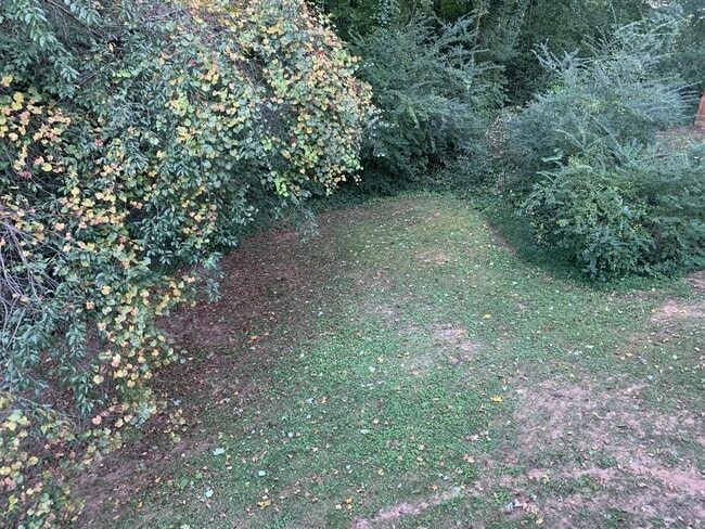 Building Photo - 924 Chapman Cir