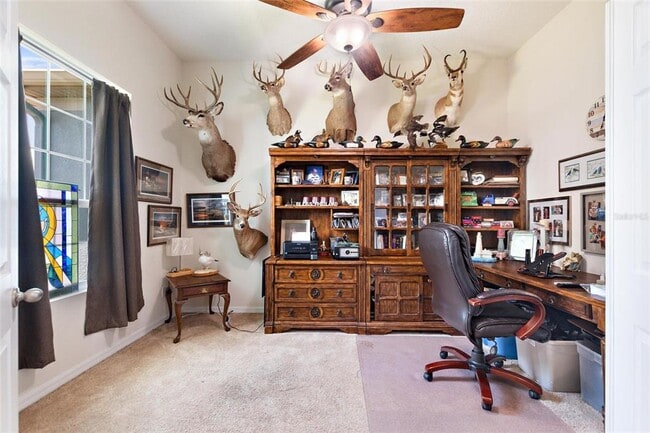 Building Photo - 585 Blue Cypress Dr