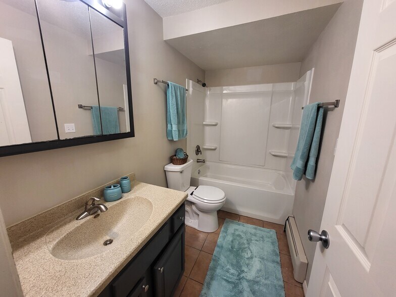 Updated Bathroom - 2704 E Scenic Ct