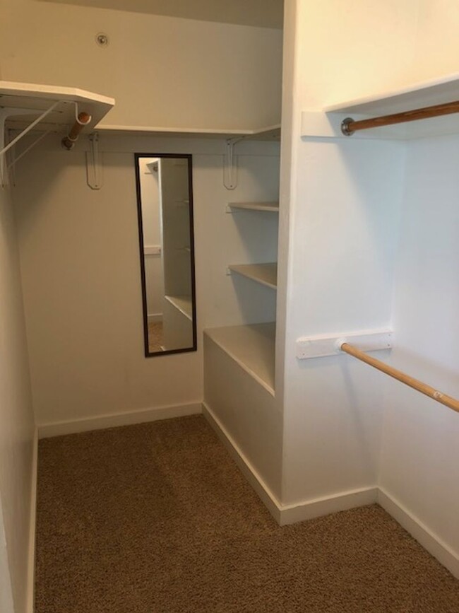 Building Photo - Great Rental in Belgrade!