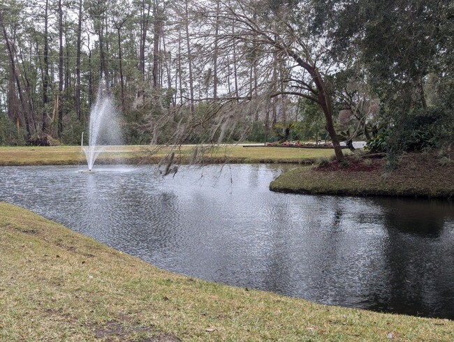 Building Photo - DELAND COMMUNITY 55+