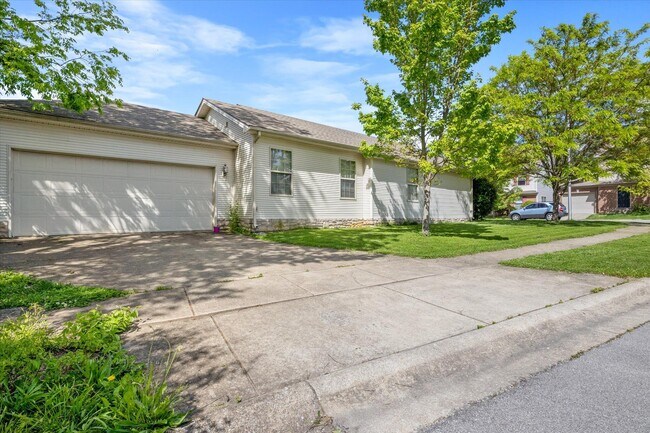 Building Photo - 2537 Sun Seeker Ct