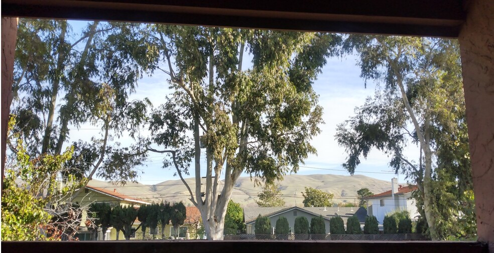 View from living room balcony - 440 Dempsey Rd