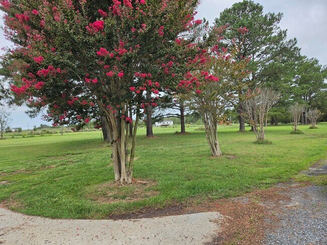 Building Photo - 29481 Killmon Ln