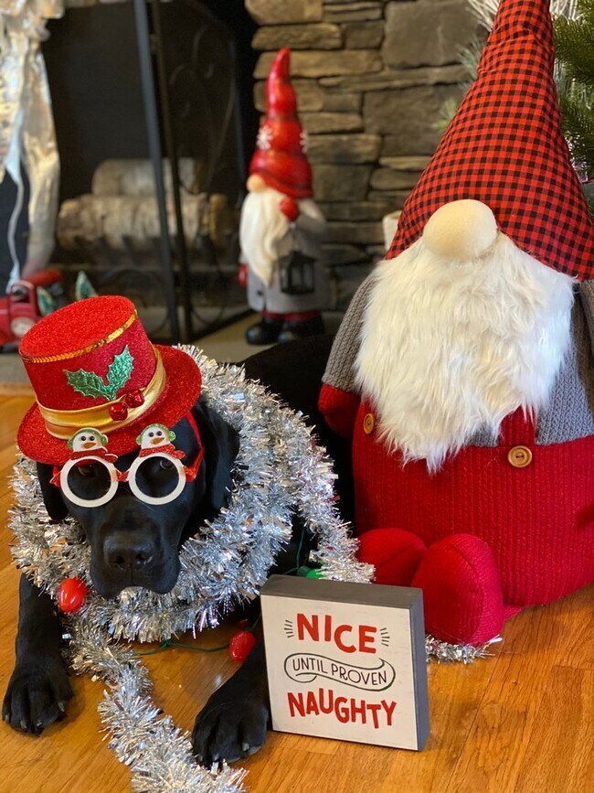 Building Photo - No "BAH HUMBUG" fees here! Rents always include high speed internet, cable, water, sewer, trash &...