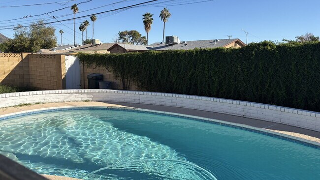 Building Photo - Mid-Century Dream with Beautiful POOL !!!