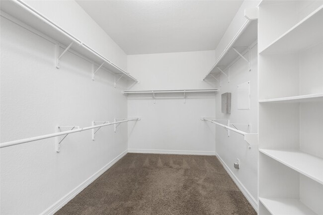 Building Photo - 2923 Golden Honey Ln