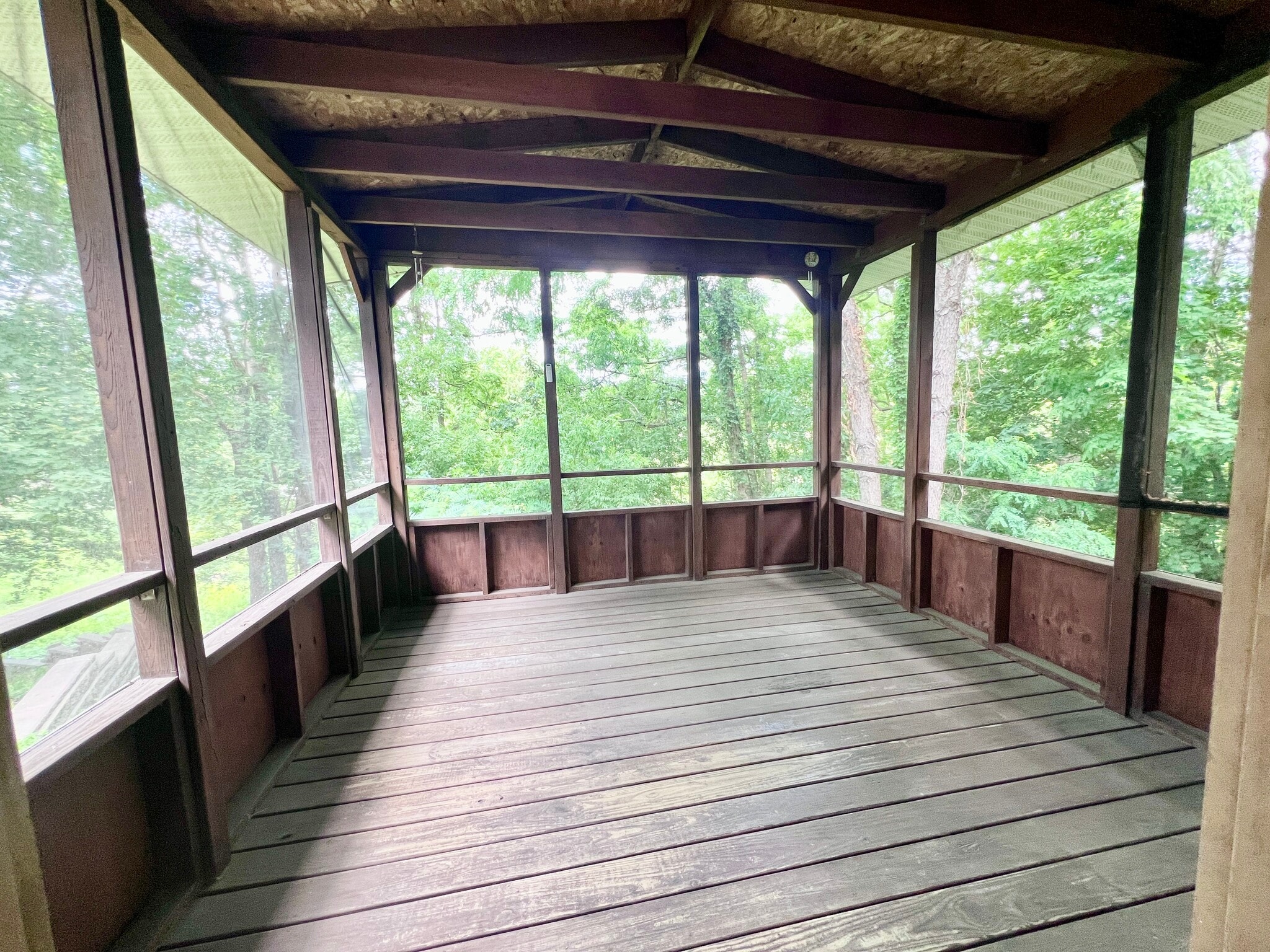 Covered porch with mosquito net - 18 Ridgecrest Ave