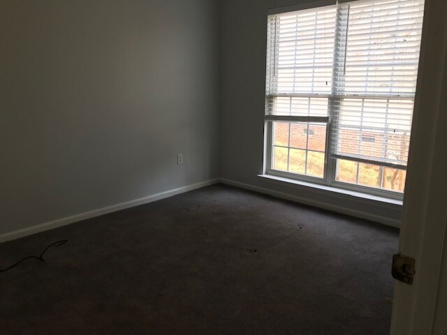 Building Photo - 503 Walkingstick Way