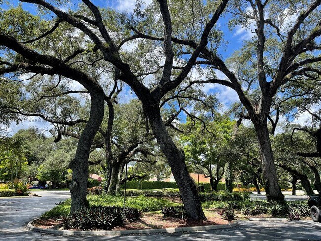 Building Photo - 1831 Sabal Palm Dr