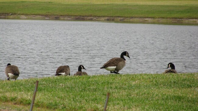 Building Photo - 3909 Flowering Orchid Ln