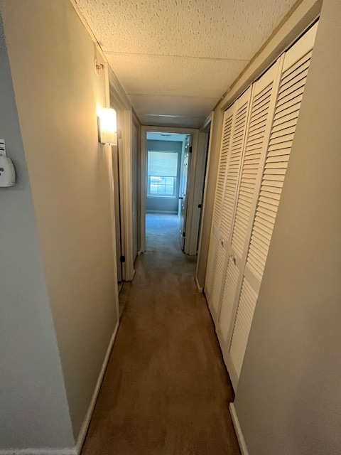 hallway - 207 Cross Pointe Ct