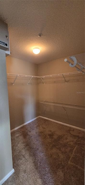 Building Photo - 14066 Evening Sky Pl