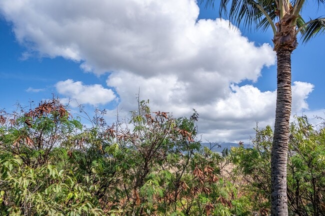 Building Photo - Maui Lani Terraces Studio, Great Mountain View!