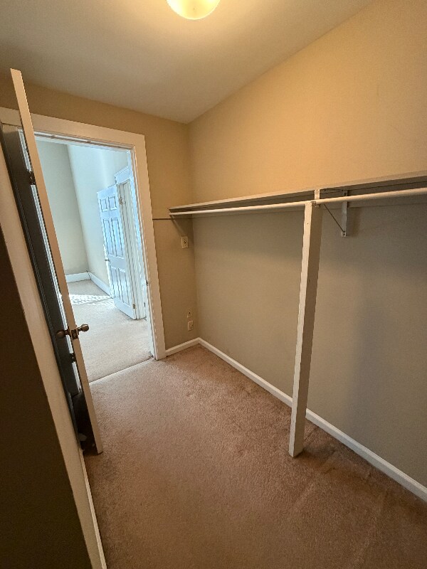 Building Photo - 215 Orange St