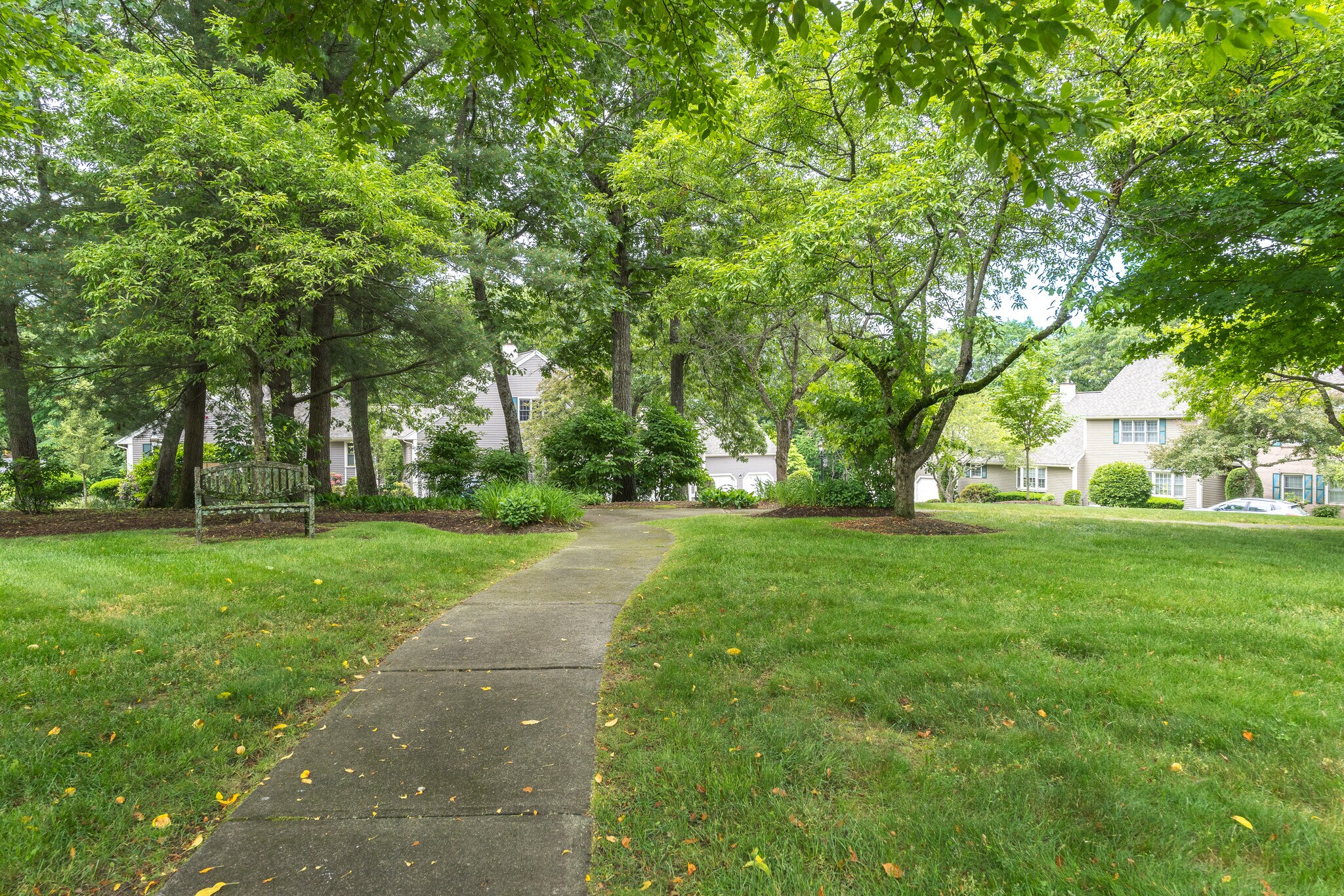 Serene Setting - 501 Lexington St