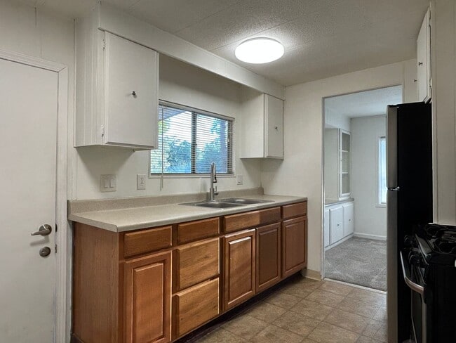 Building Photo - 452 Silver Leaf Dr