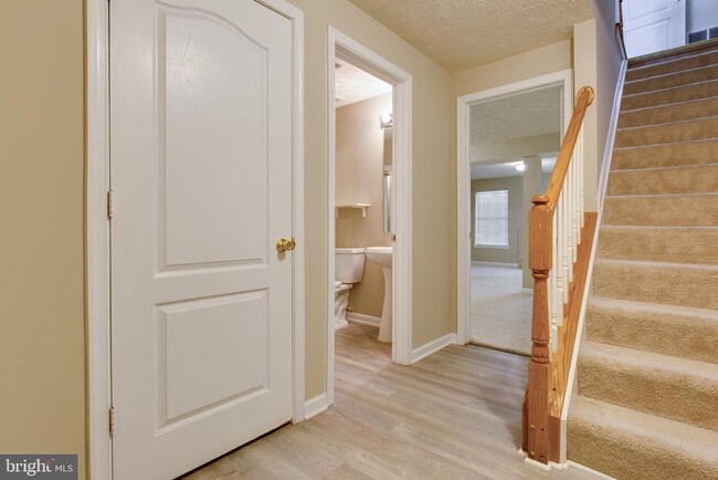 Building Photo - 3274 Halcyon Ct