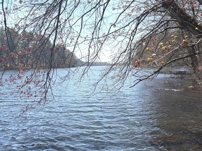 Primary Photo - 350 Beaver Dam Access Rd