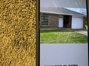 Building Photo - 115 Berger St