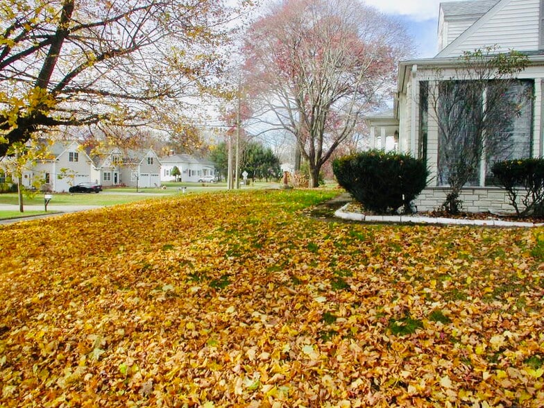 Beautiful neighborhood - 23 Fairlawn Ave