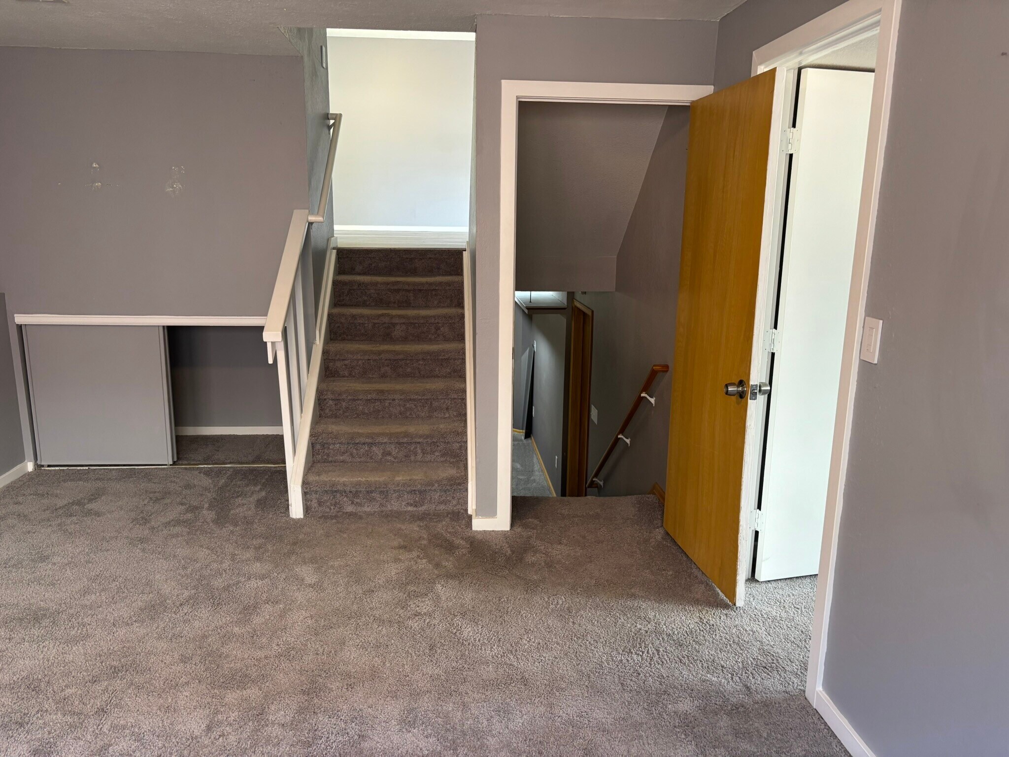 Downstairs Living Room - 3613 S Olathe St