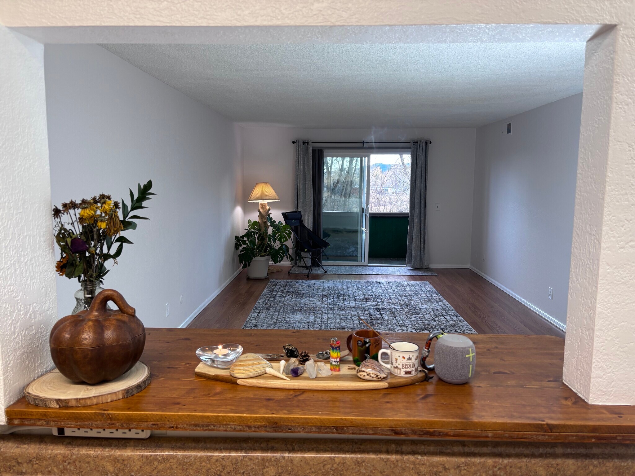 See through kitchen - 3250 Oneal Cir