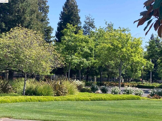 Building Photo - 10448 Almanor Cir