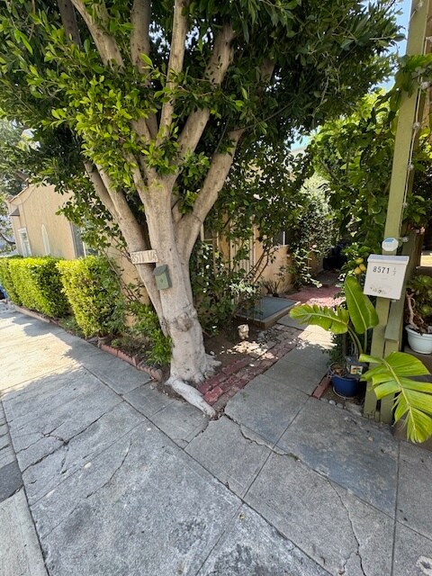 Front of Apartment - 8571 Rugby Dr