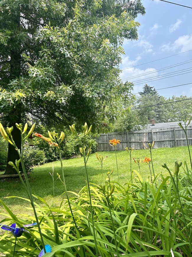 Building Photo - 1117 Kay Pkwy