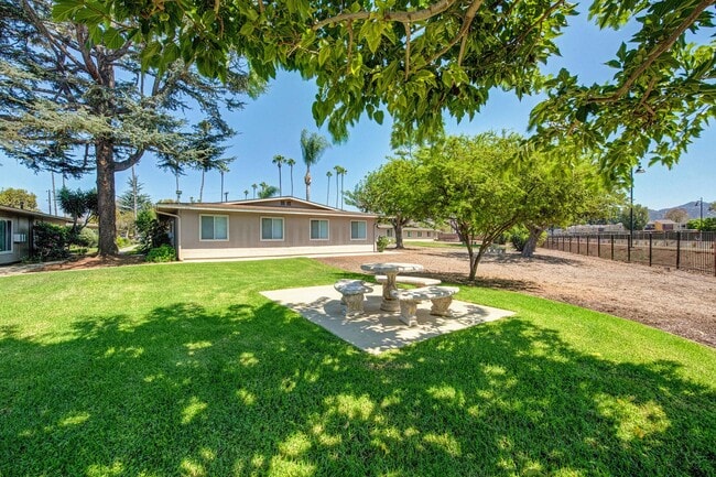 Building Photo - Pacifica Palms Apartments