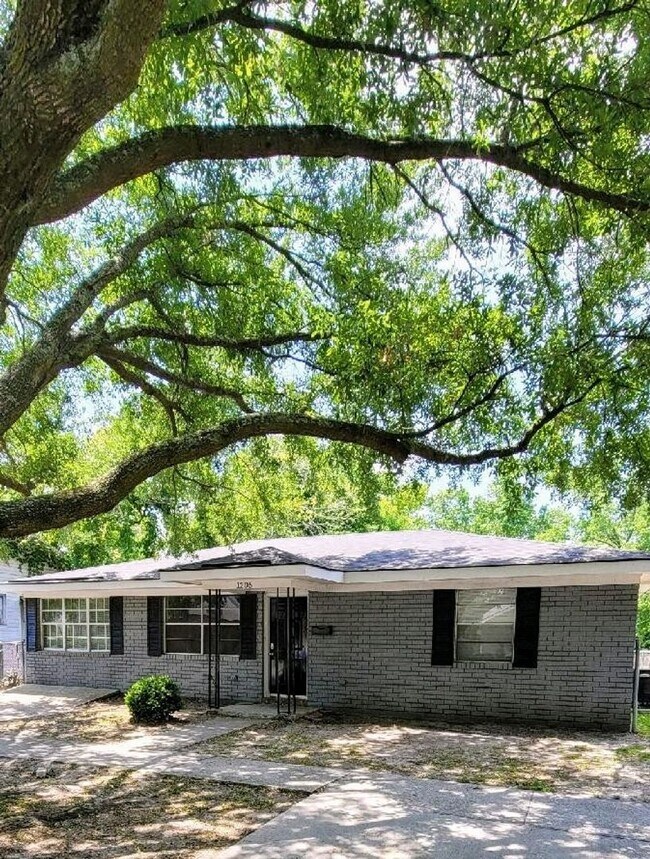 Building Photo - Large 3BR/1BA Downtown House For Rent Walking Distance to Daffin Park