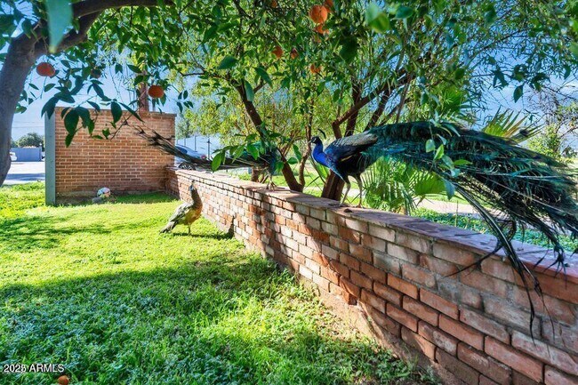 Building Photo - 4004 E McKellips Rd