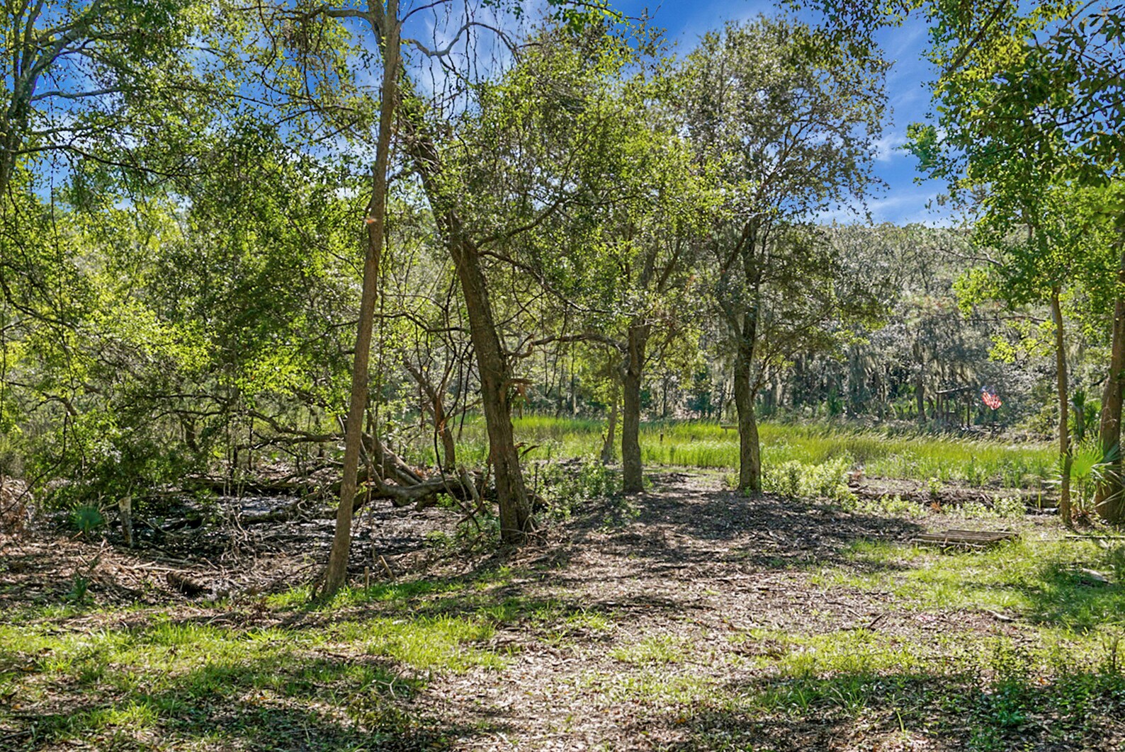 Oak trees provide a shaded retreat by Burden Creek - 2735 Exchange Landing Rd