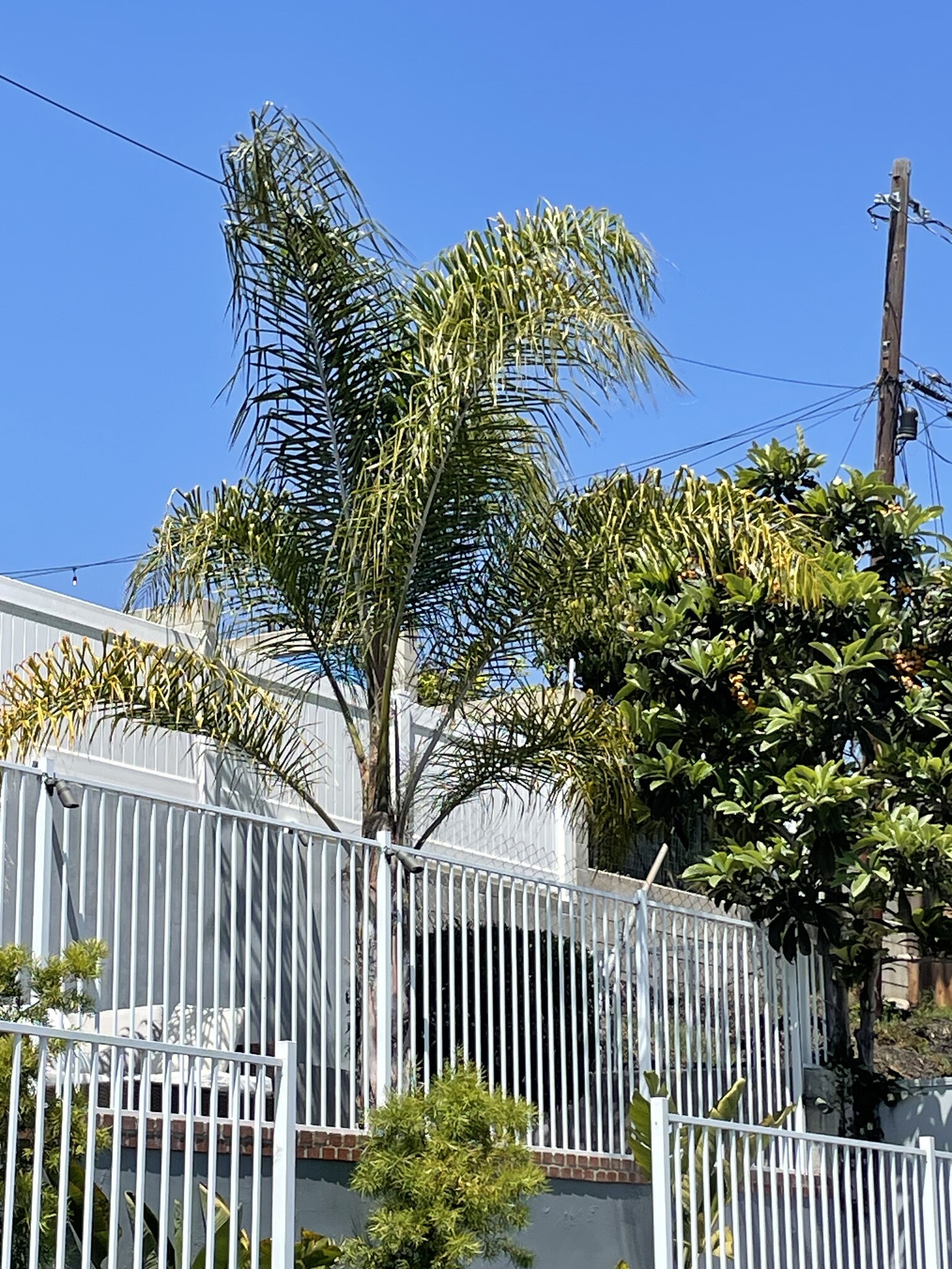 Building Photo - 813 Pier Ave