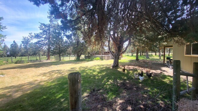 Building Photo - 4 bedroom 3 bath horse property- 6 acres i...