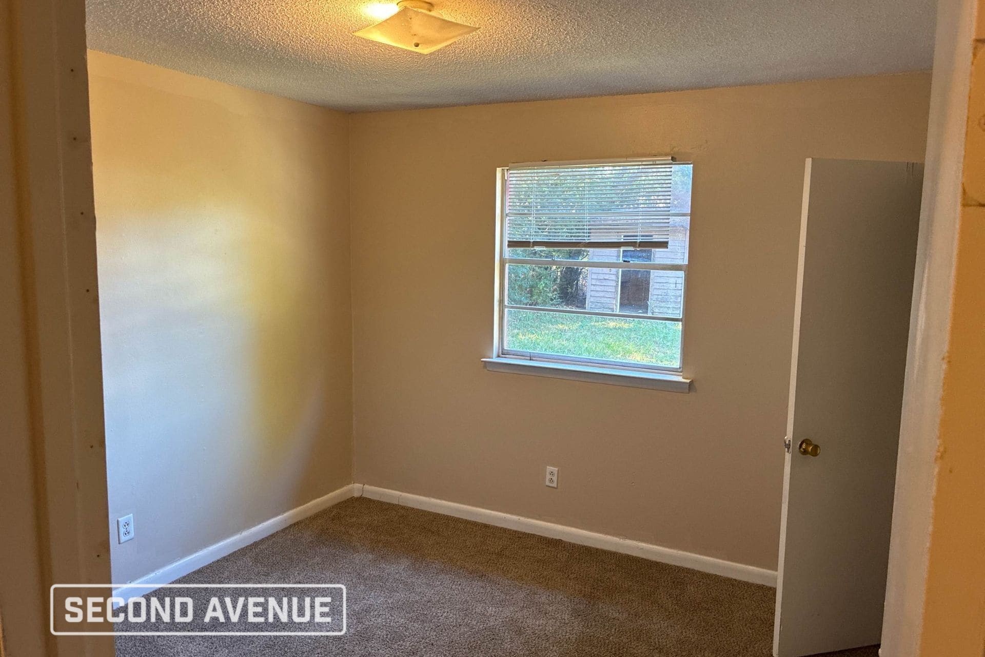 Building Photo - 1006 Towering Oaks Dr